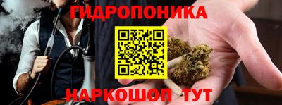 прущие грибы Гусь-Хрустальный