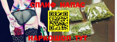 прущие грибы Гусев