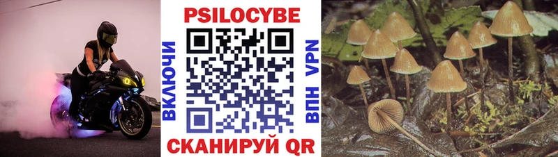 мориарти формула  Набережные Челны  Галлюциногенные грибы мухоморы 