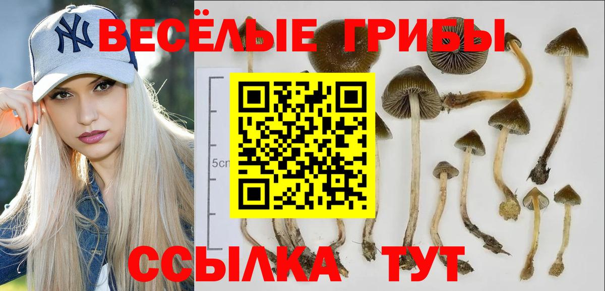 Галлюциногенные грибы ЛСД  Вход с VPN  Набережные Челны  Галлюциногенные грибы Magic Shrooms 